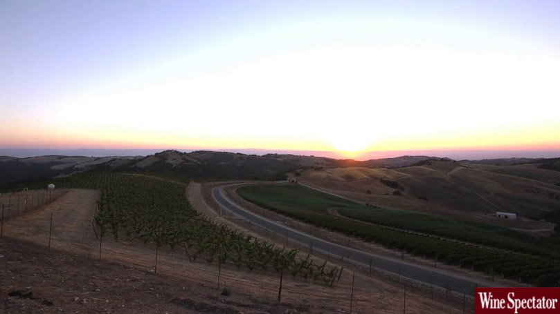Wine Spectator: A View from Daou Mountain | Branded Content by Simple Focus Films | A Los Angeles Production Company